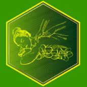 R&uuml;cken- , Nacken- und Schultermassage